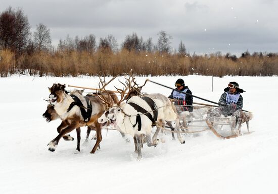 Russia Reindeer Herder Day 