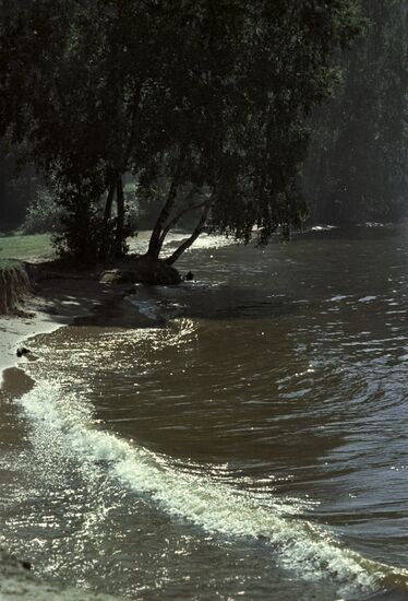 Volga River bank