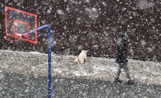 Russia Snow