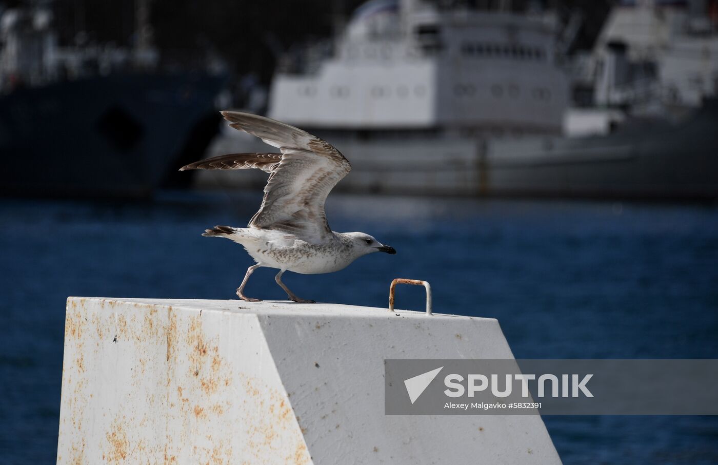 Russia Veliky Novgorod Submarine