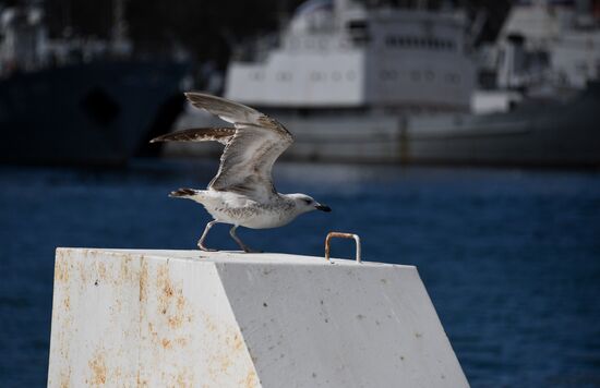 Russia Veliky Novgorod Submarine