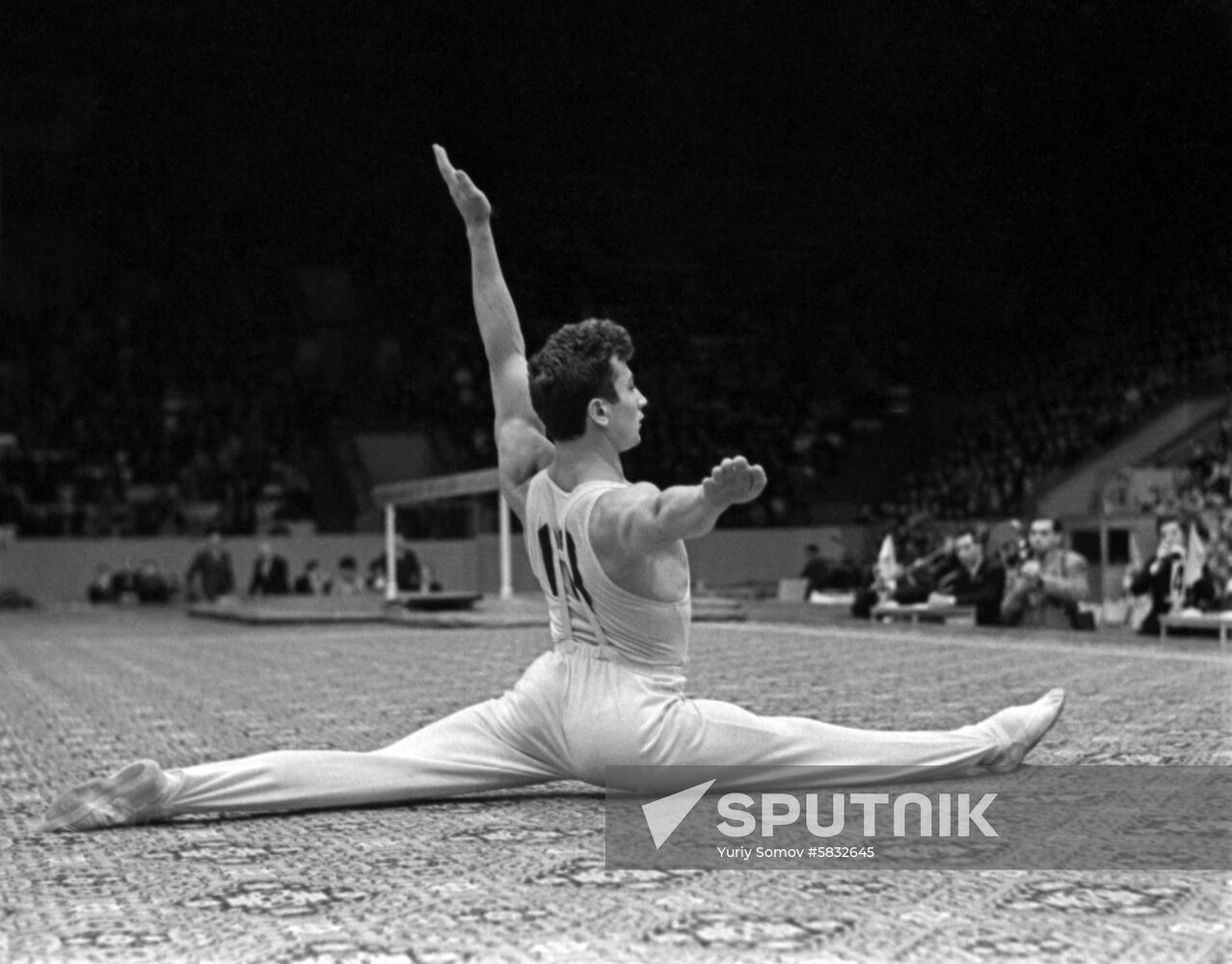 Gymnast Viktor Lisitsky