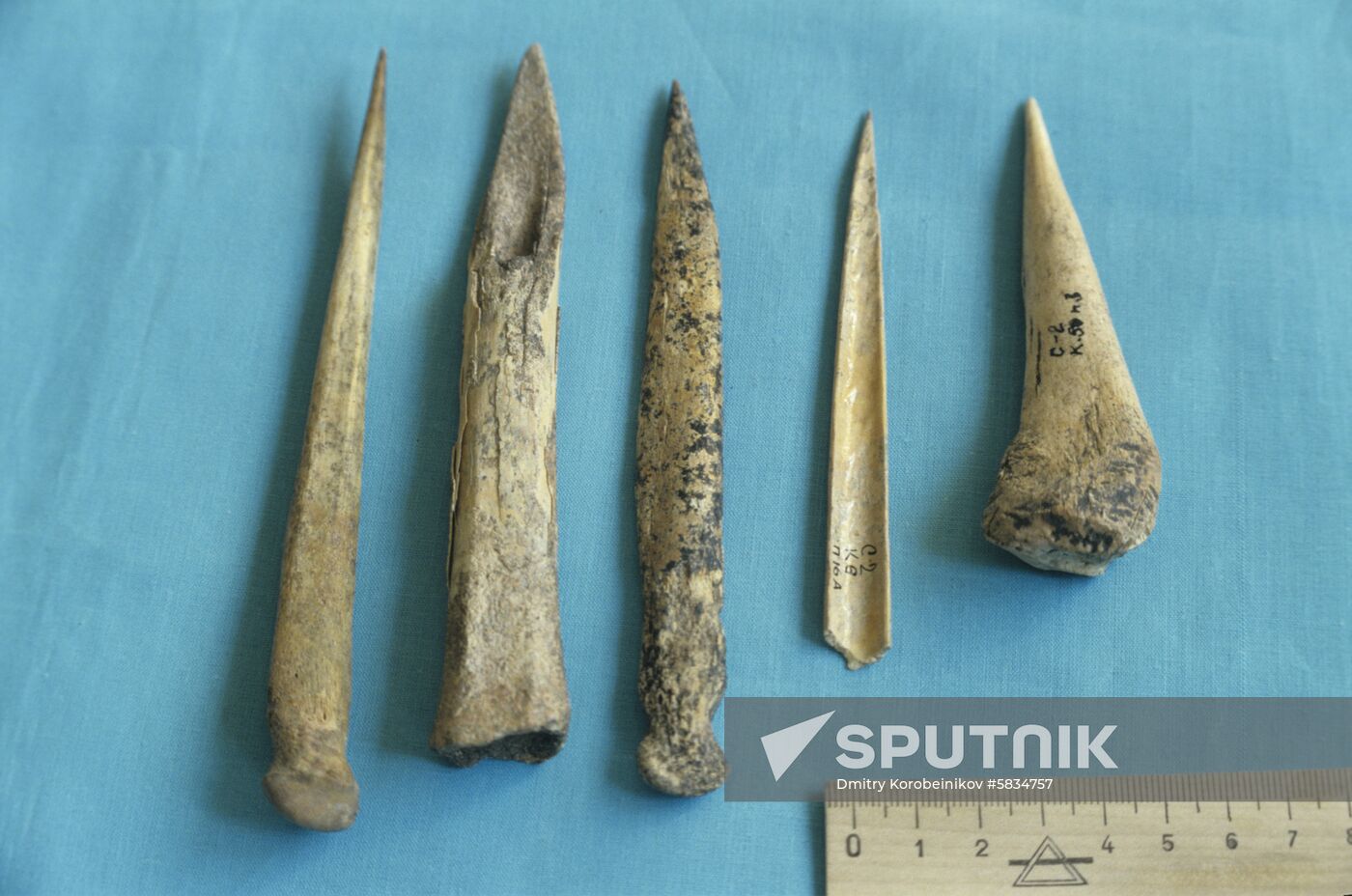 Sopka-2 archeological expedition in Barabinskaya Forest-Steppe