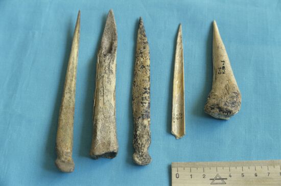 Sopka-2 archeological expedition in Barabinskaya Forest-Steppe