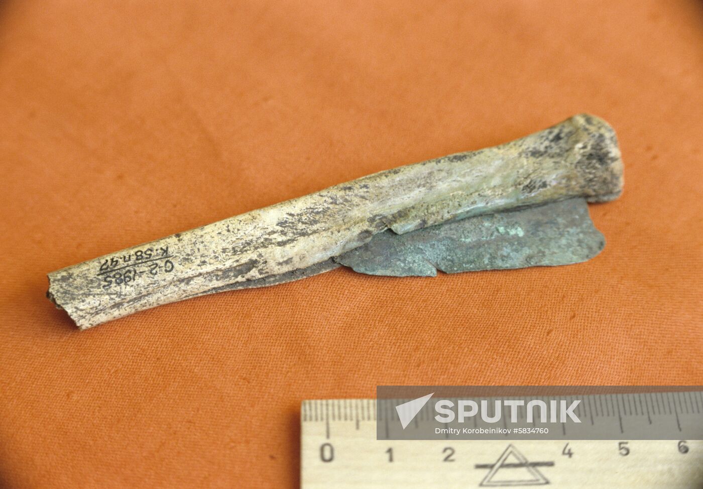 Sopka-2 archeological expedition in Barabinskaya Forest-Steppe