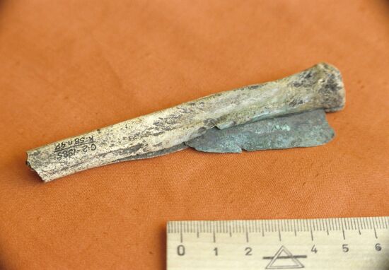 Sopka-2 archeological expedition in Barabinskaya Forest-Steppe