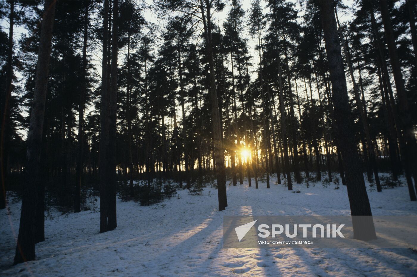 Meshchyora National Park