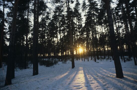 Meshchyora National Park