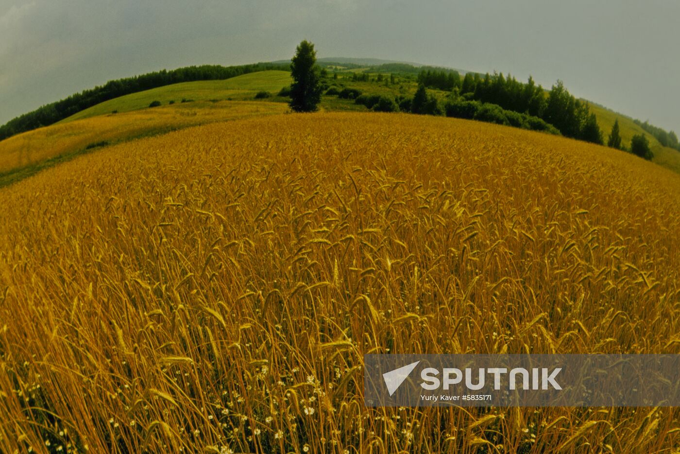 Vicinities of Shakhmatovo village