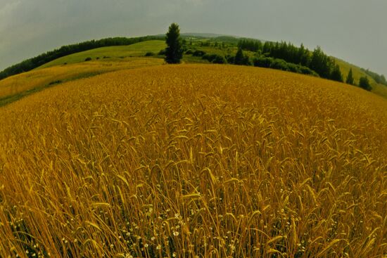 Vicinities of Shakhmatovo village