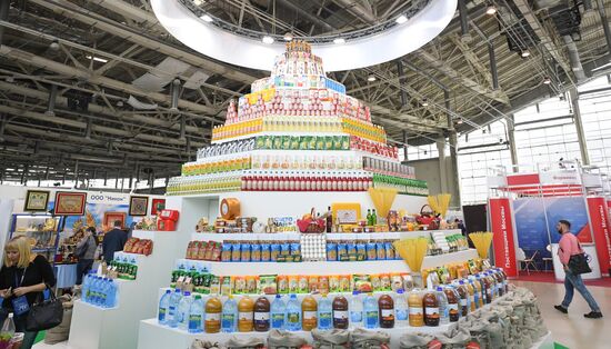 Russia Exhibition