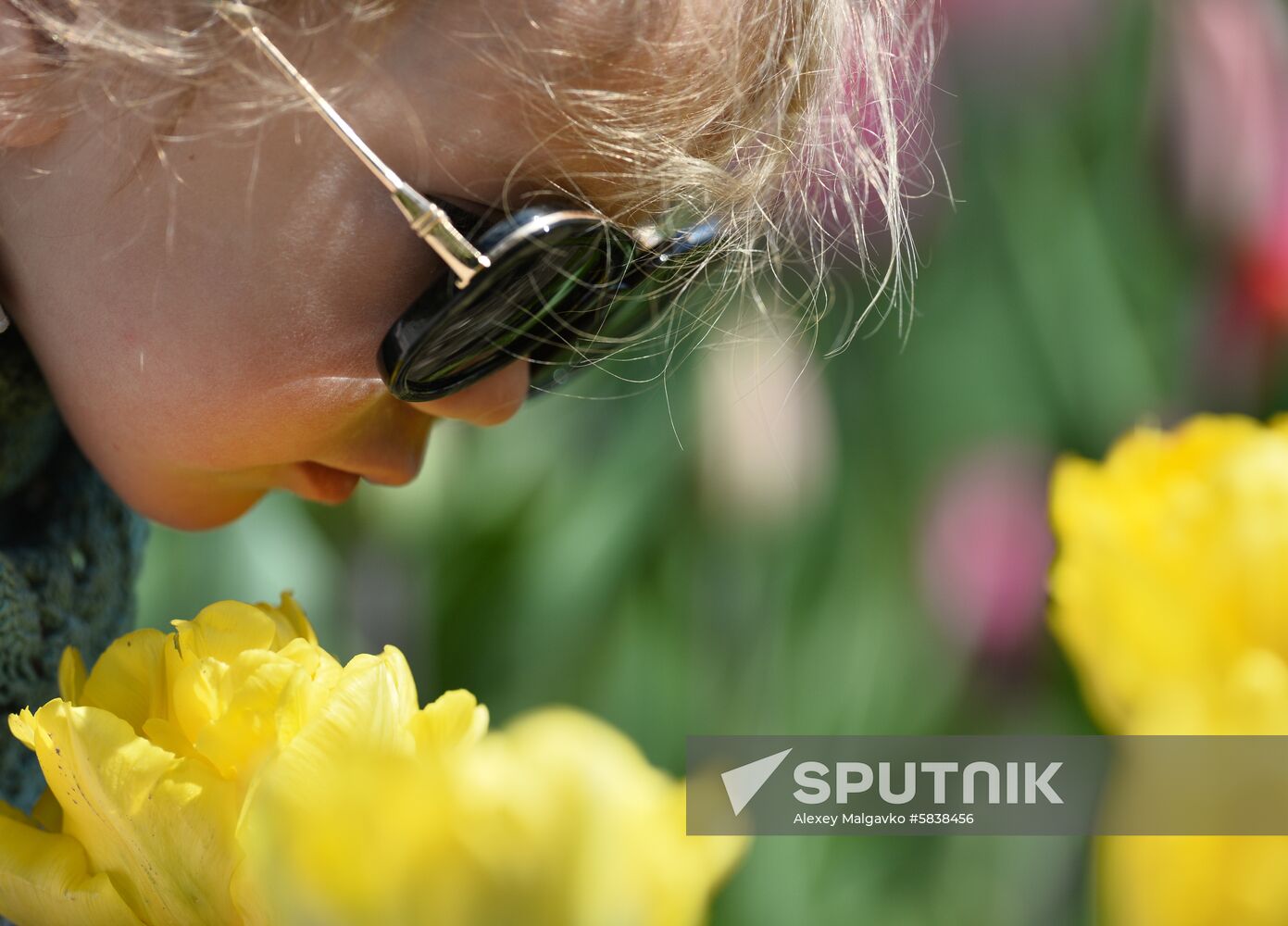 Russia Crimea Flowers