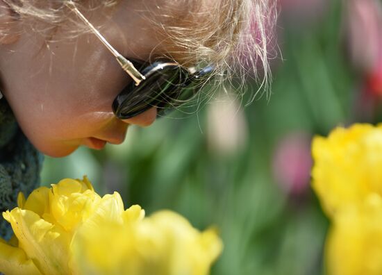Russia Crimea Flowers