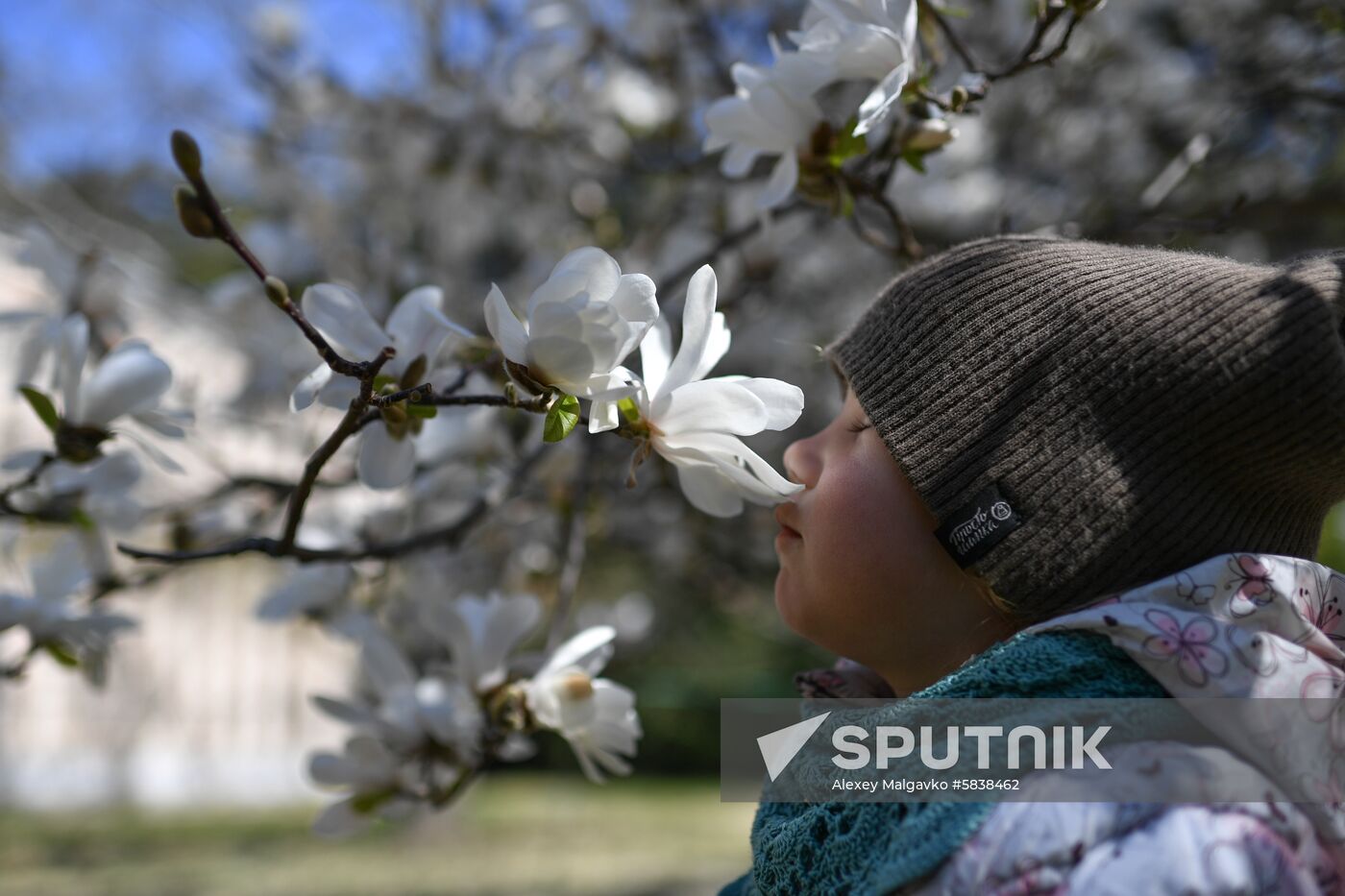 Russia Crimea Flowers