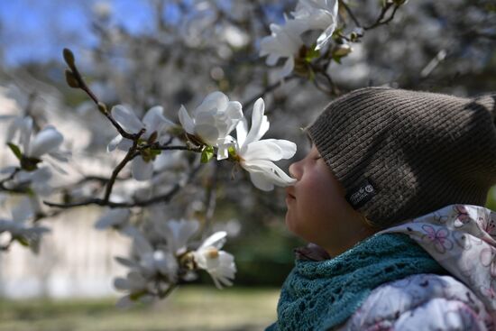 Russia Crimea Flowers