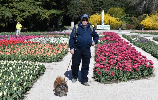 Russia Crimea Flowers