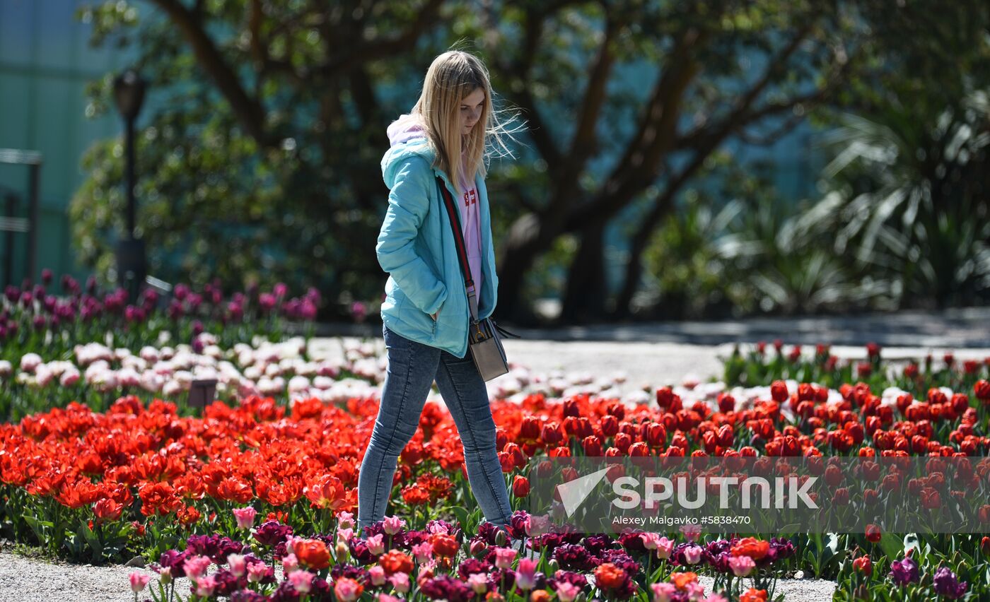 Russia Crimea Flowers