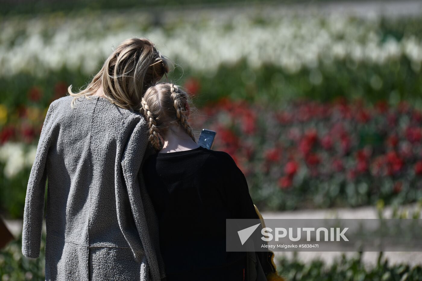 Russia Crimea Flowers