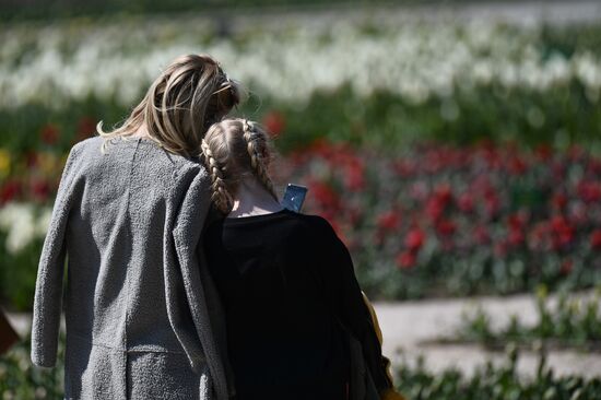 Russia Crimea Flowers