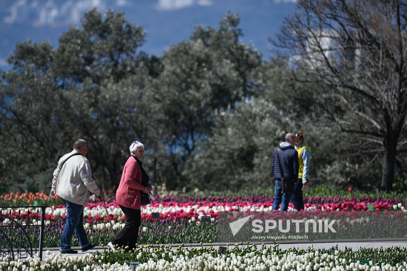 Russia Crimea Flowers