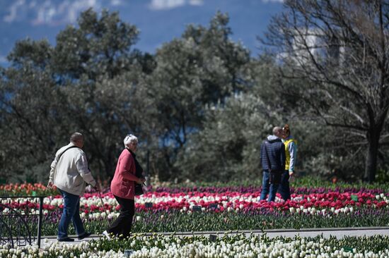 Russia Crimea Flowers