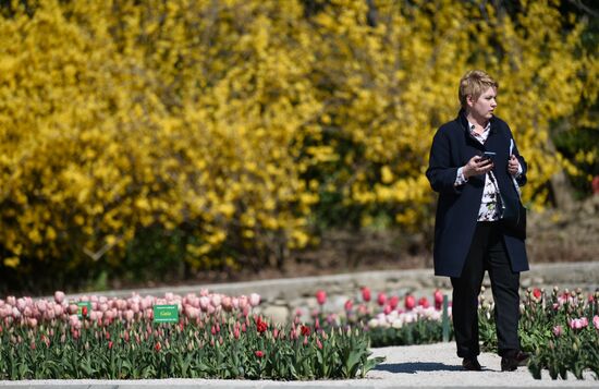Russia Crimea Flowers