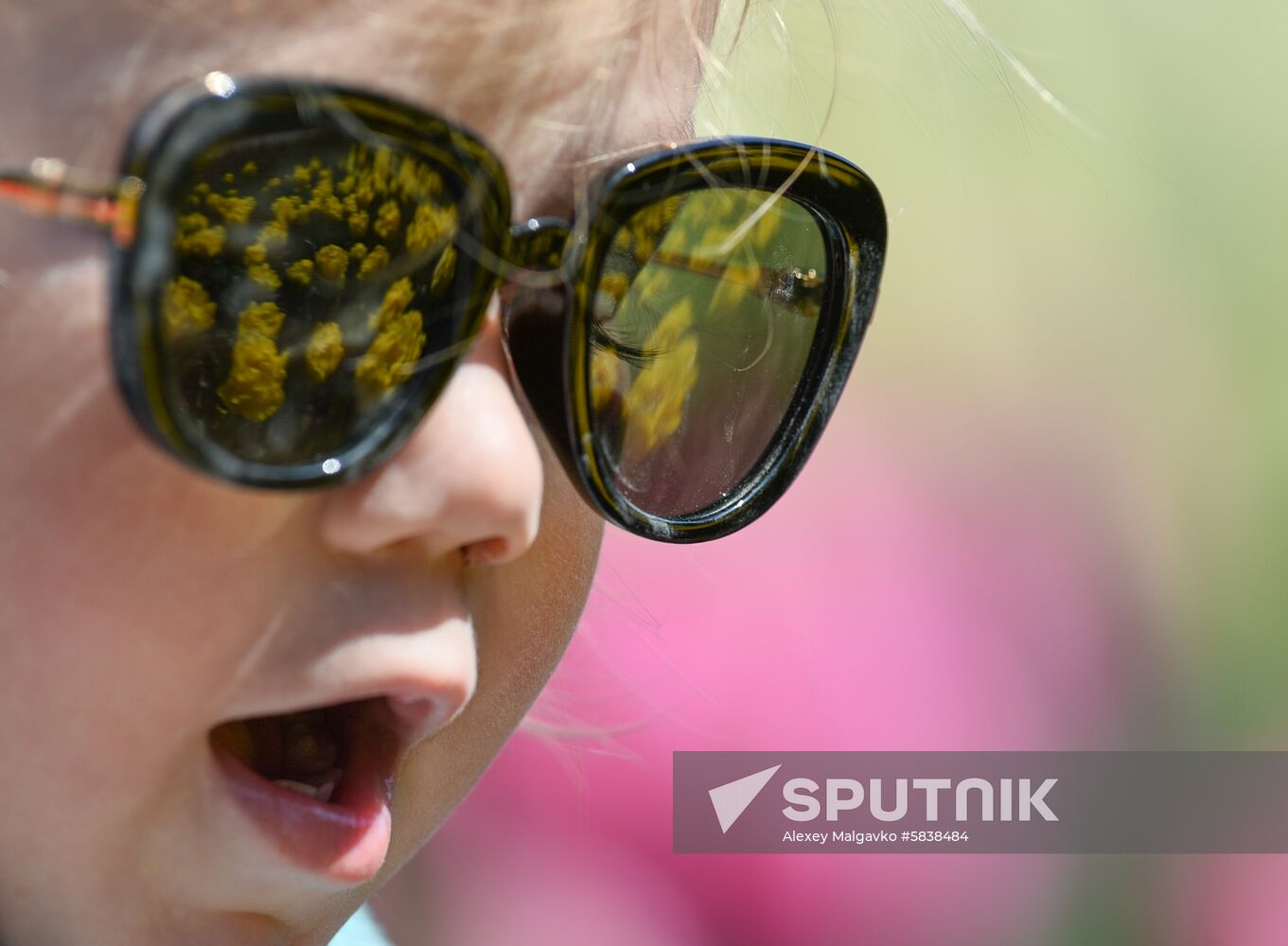 Russia Crimea Flowers