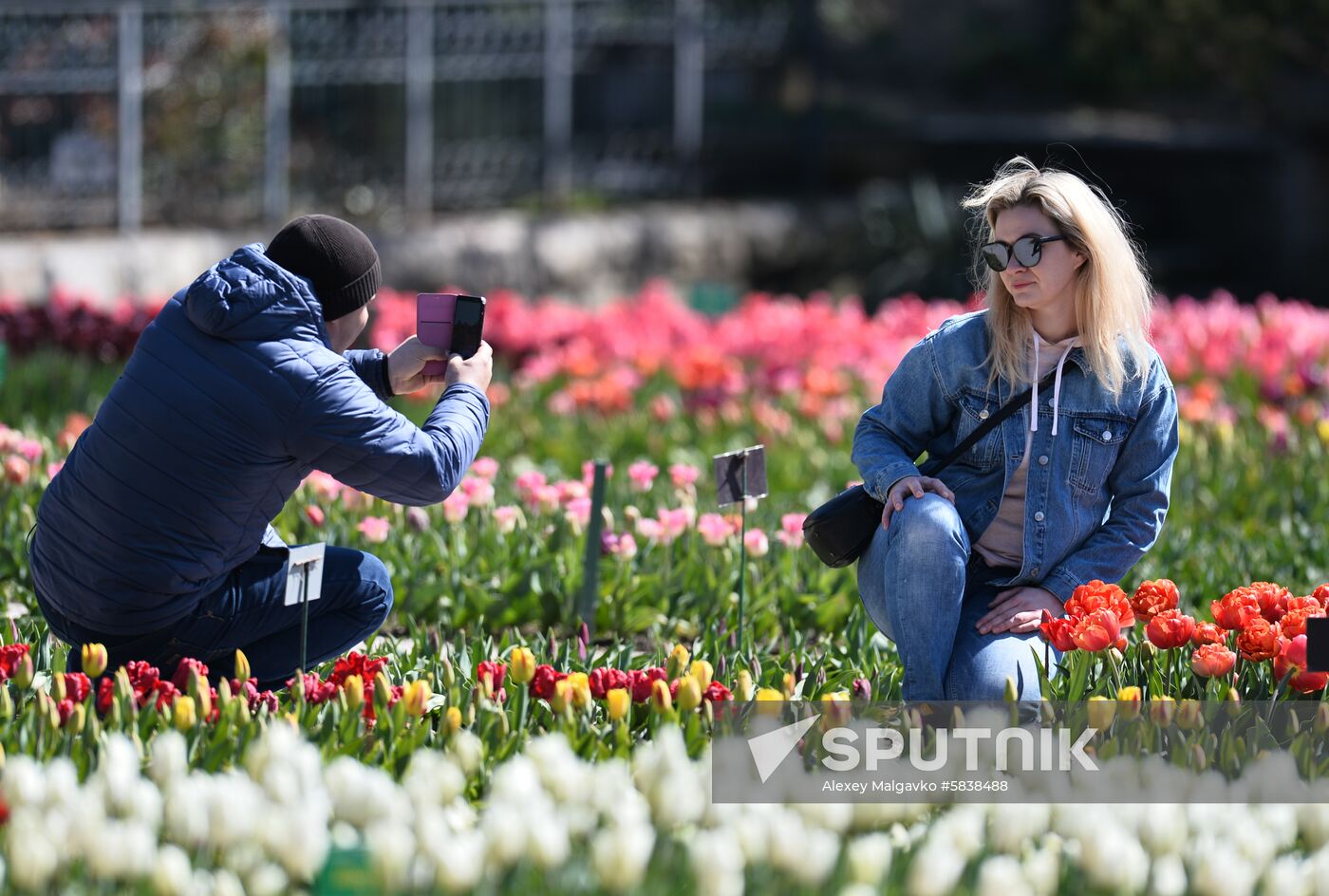 Russia Crimea Flowers
