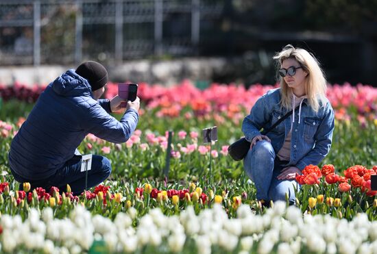 Russia Crimea Flowers