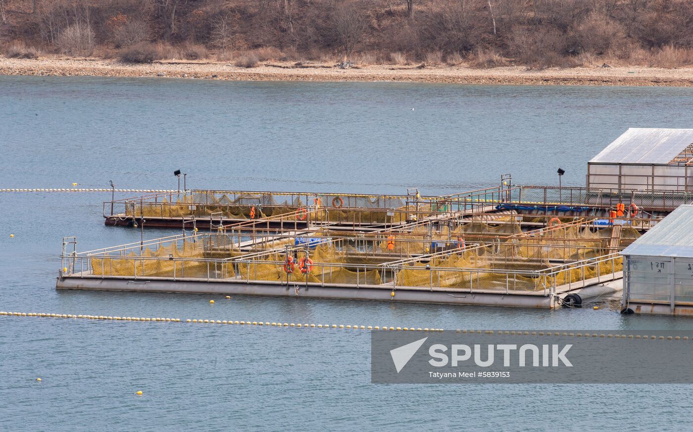Russia Whale Prison Cousteau