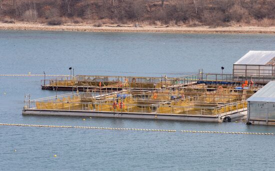 Russia Whale Prison Cousteau