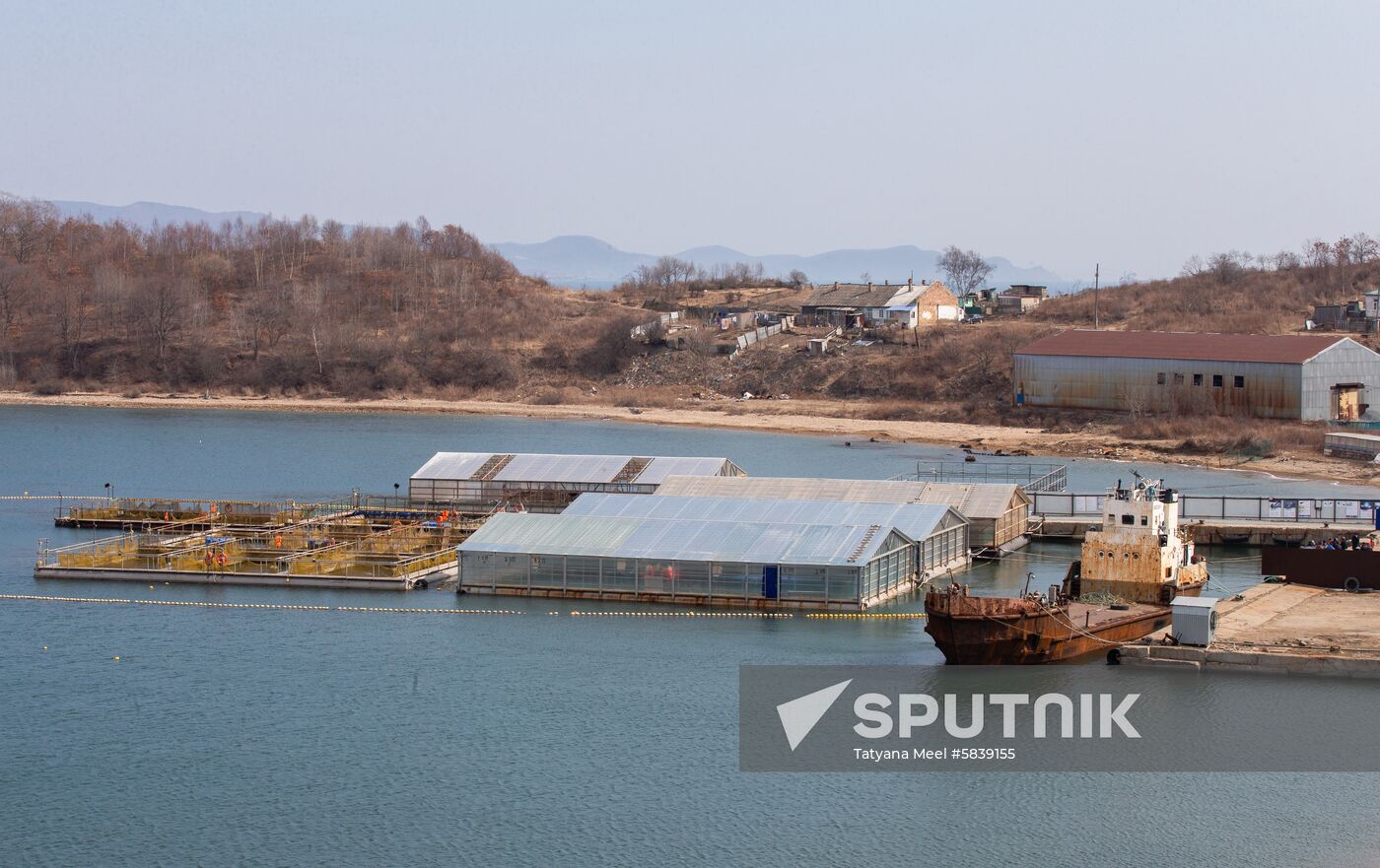 Russia Whale Prison Cousteau