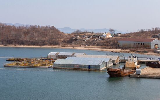 Russia Whale Prison Cousteau