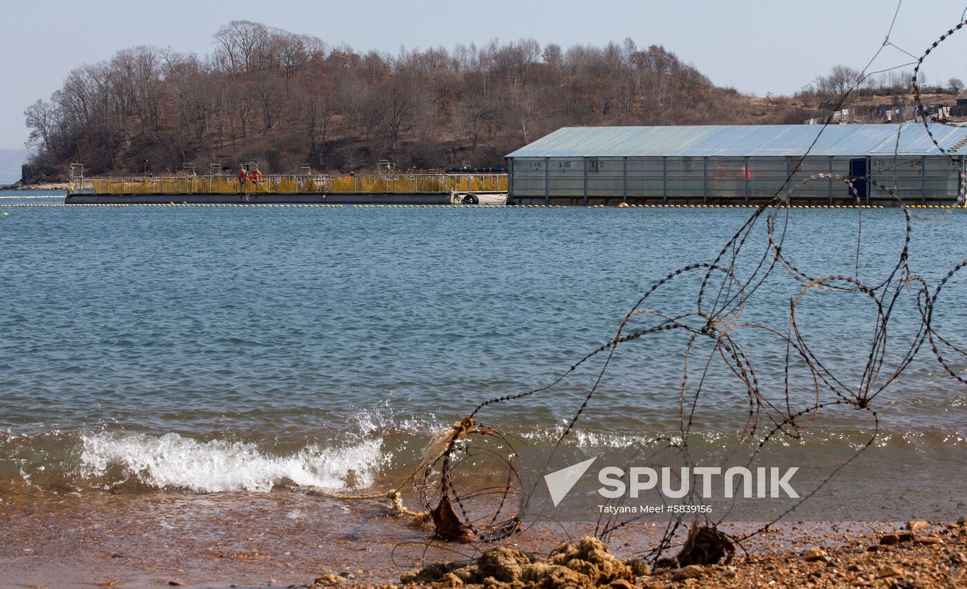 Russia Whale Prison Cousteau
