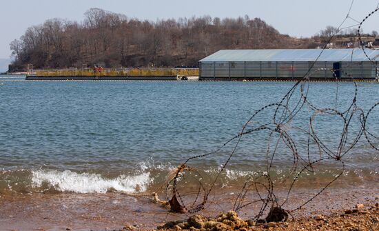 Russia Whale Prison Cousteau