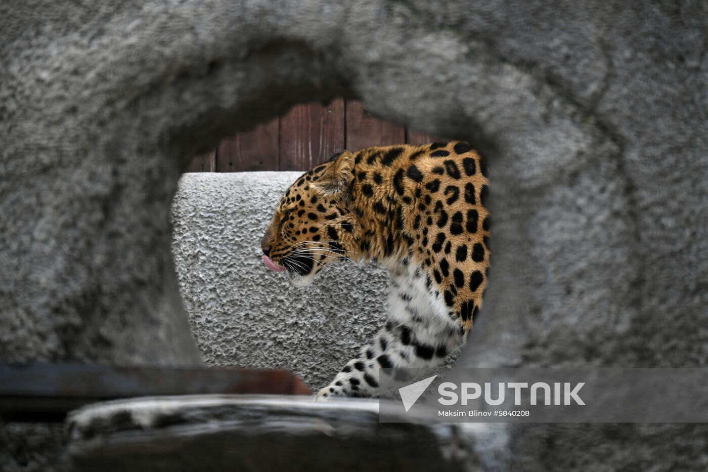Russia Moscow Zoo