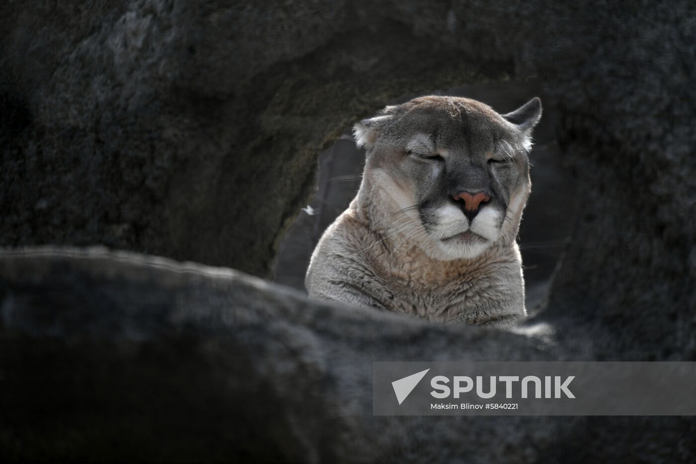 Russia Moscow Zoo