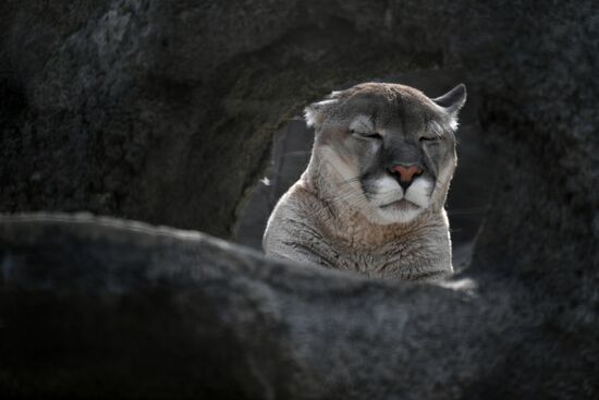 Russia Moscow Zoo