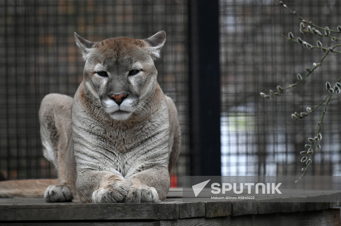 Russia Moscow Zoo