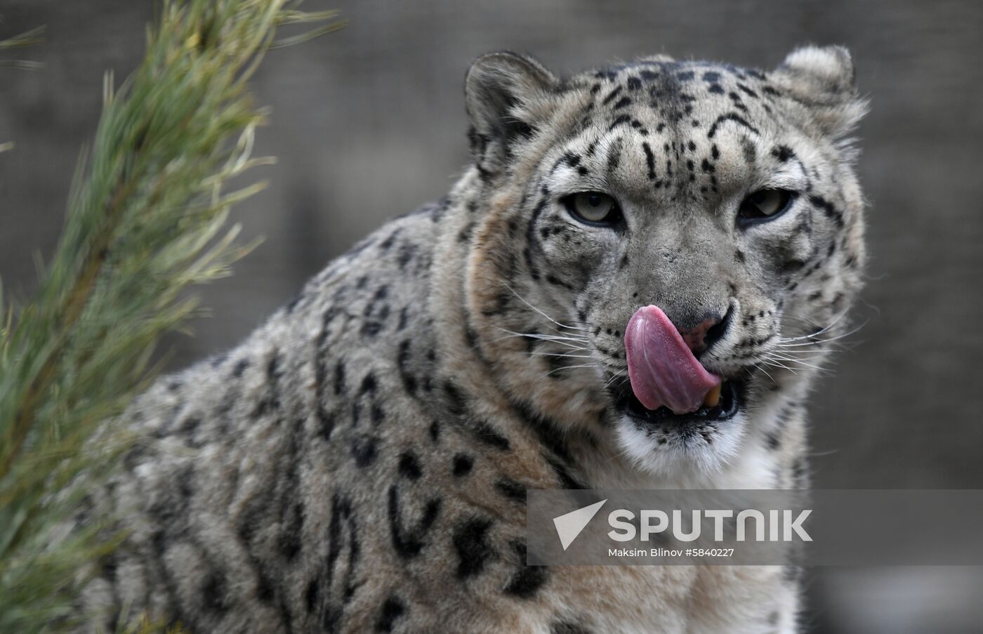 Russia Moscow Zoo