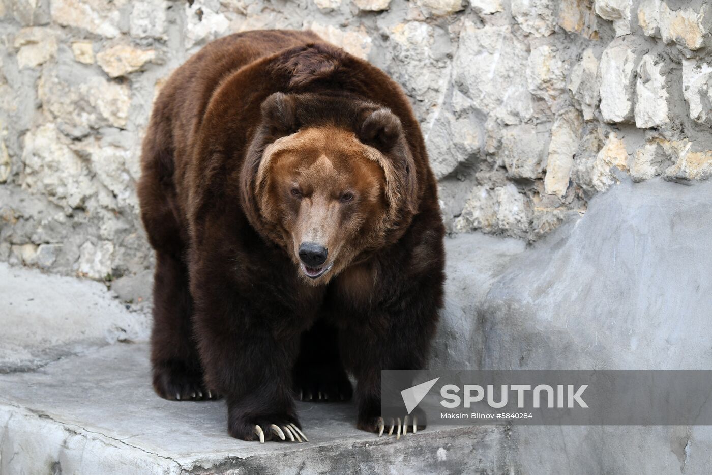 Russia Moscow Zoo