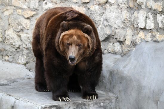Russia Moscow Zoo