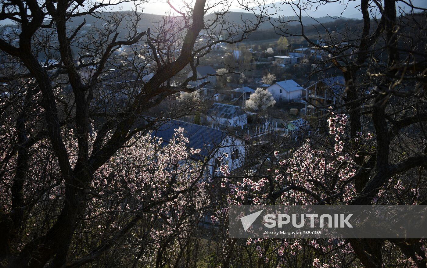 Russia Crimea Weather