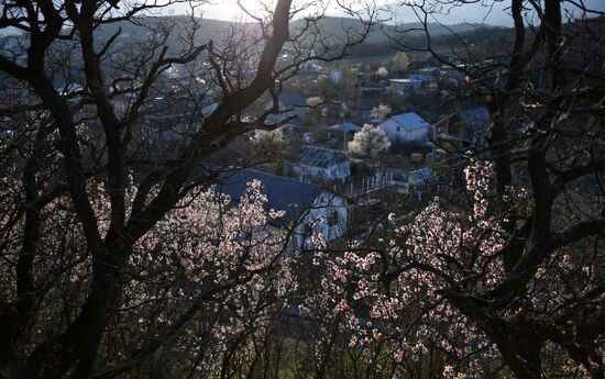 Russia Crimea Weather