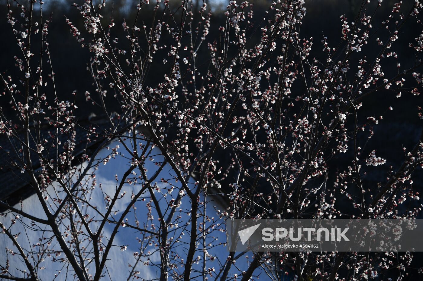 Russia Crimea Weather