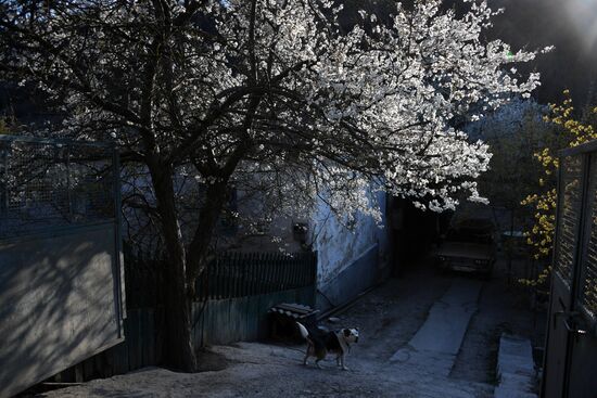 Russia Crimea Weather