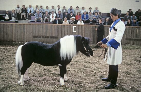 Delegation of Finnish farmers in Krasnodar