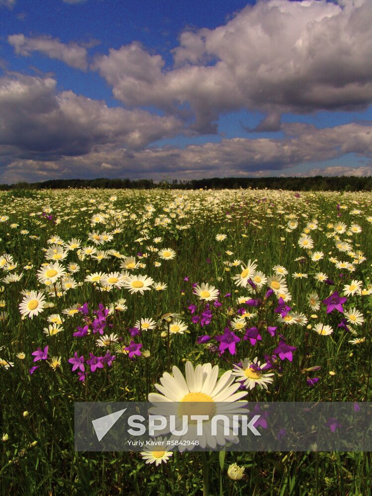 Outskirts of village of Nerazh