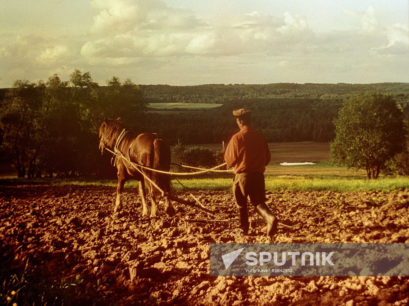 Oka Nature Reserve