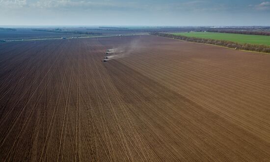 Russia Sunflower Sowing